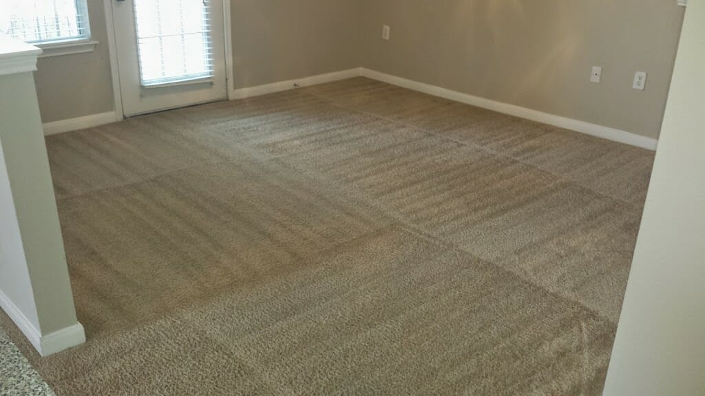 Cleaned carpet in empty room