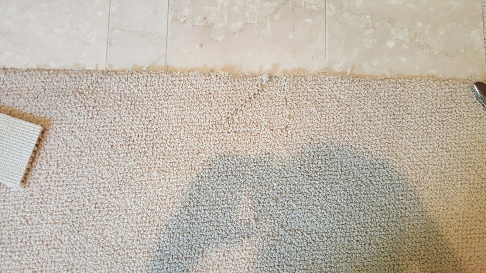 Carpet repair patch