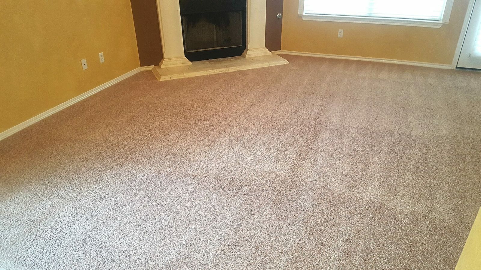 Living room carpet after steam cleaning