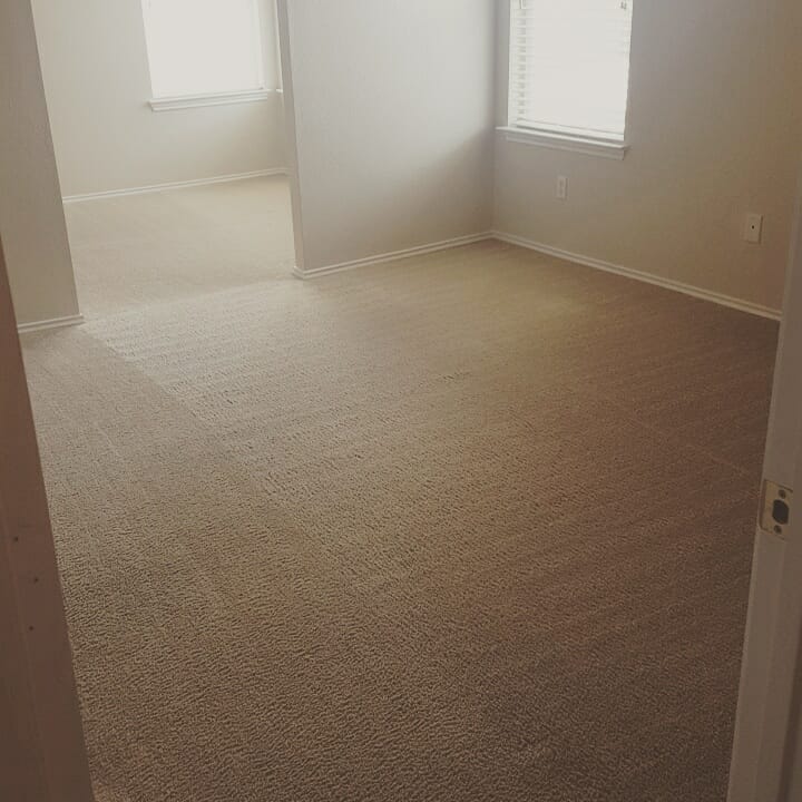 Bedroom carpet after cleaning
