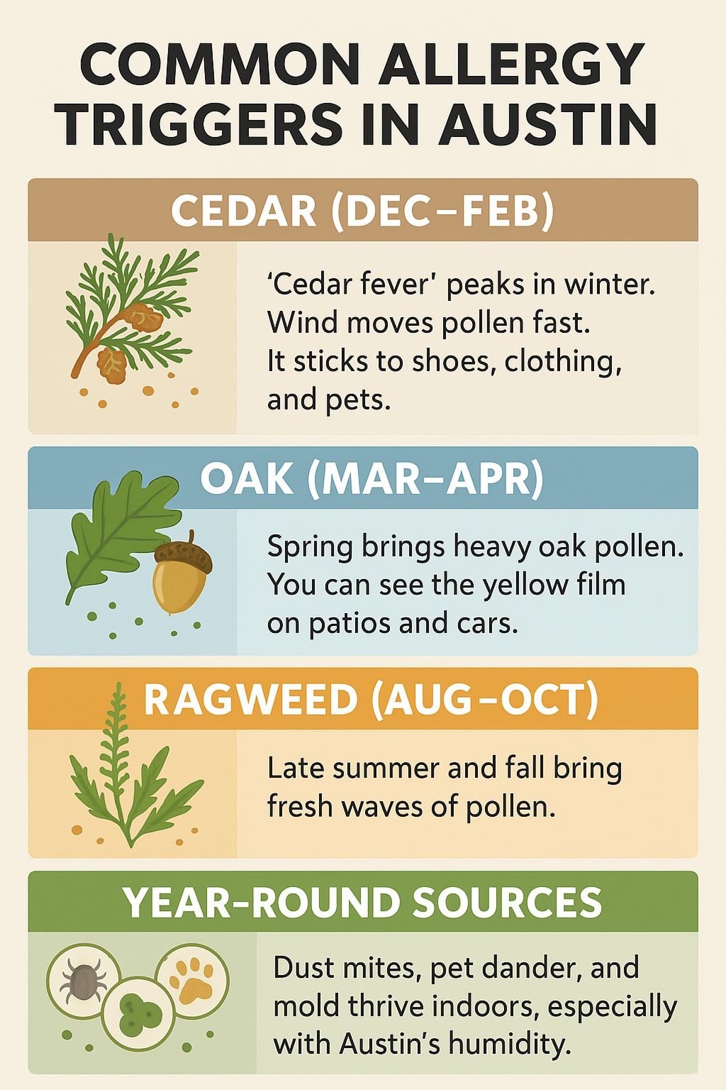 Infographic showing common allergy triggers in Austin by season: cedar pollen in winter, oak pollen in spring, ragweed in late summer and fall, plus year-round indoor sources like dust mites, pet dander, and mold.