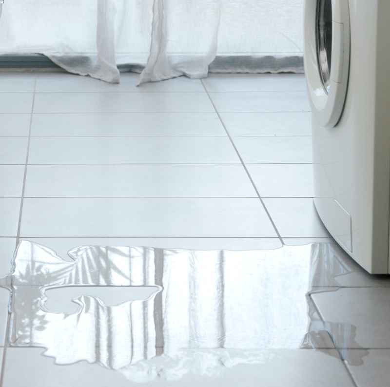 water mitigation